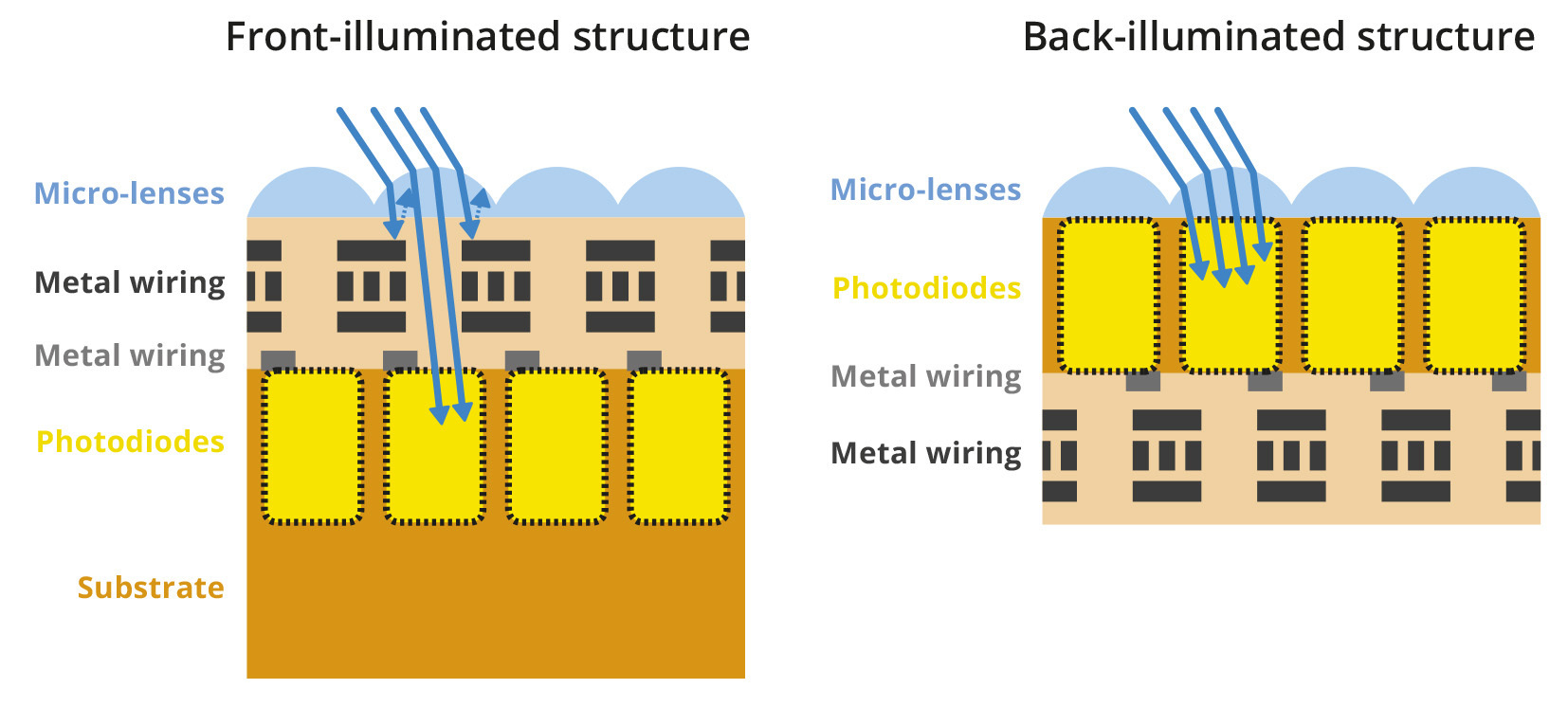 Back illuminated sensors