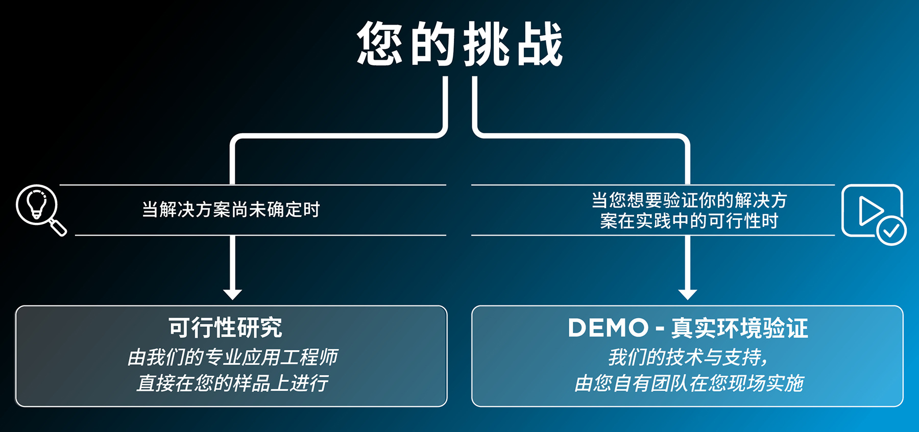 Inside DEMO FSR chinese