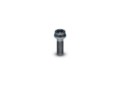 Conical head screw 00