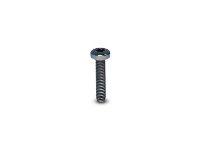 Torx screw 00