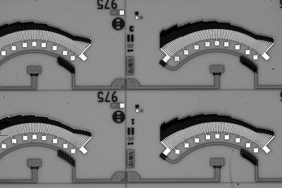 TC16M sample with collimated backlight