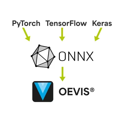 OEVIS ONNX schema