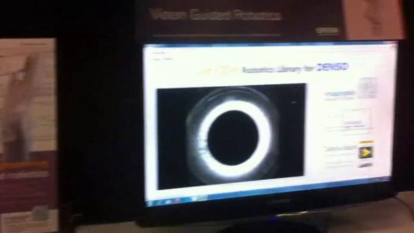 Boroscopic probe in action